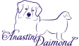 Logo Anastin Daimond