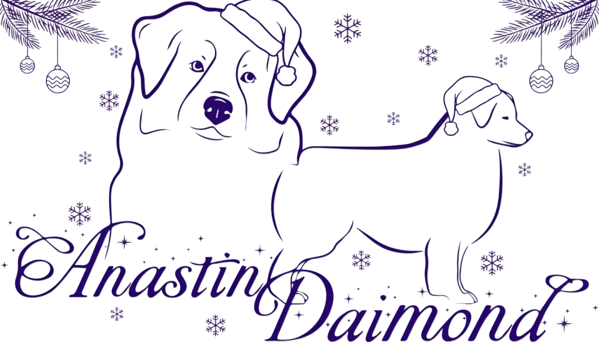 Logo Anastin Daimond