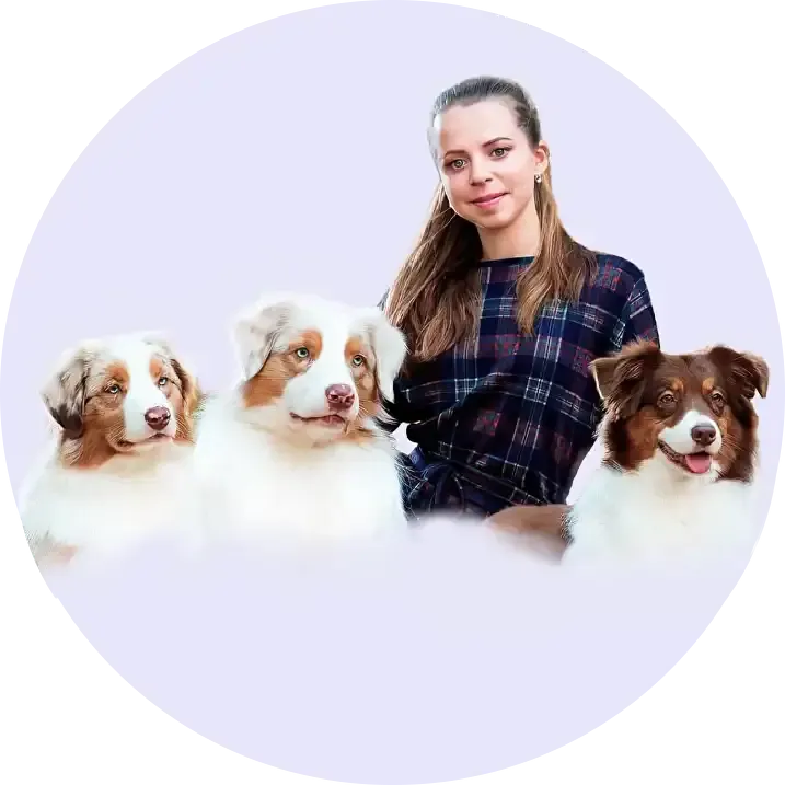 Anastin Daimond - Питомник австралийских овчарок