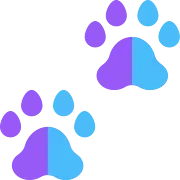 Paws Anastin Daimond